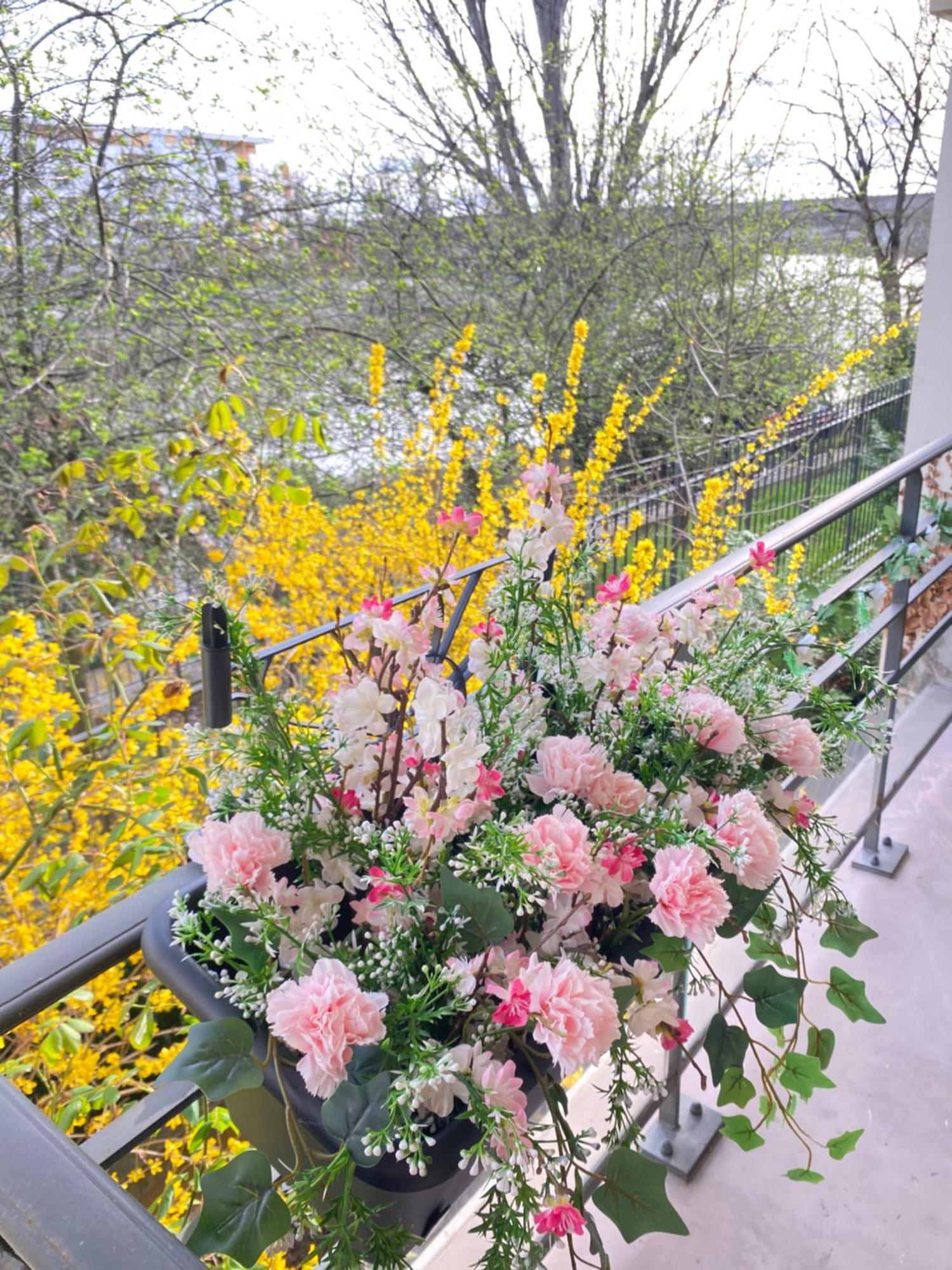 Cozy Riverfront Living, 5-Min Walk To Riverside Train Neuilly-Plaisance Εξωτερικό φωτογραφία